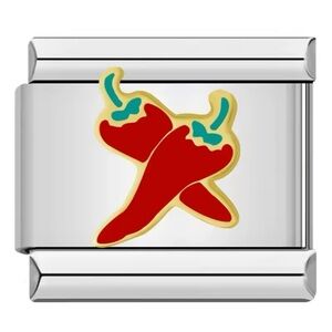 3 for $20 | Spicy Peppers Y2K Charm